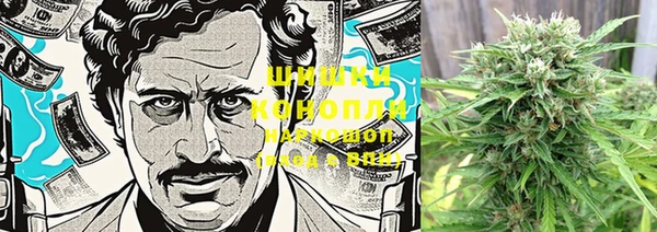 прущая мука Абаза