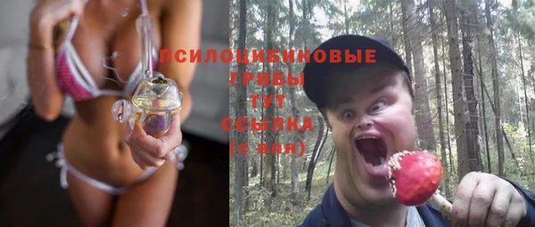 прущая мука Абаза